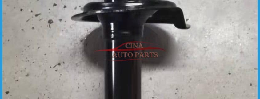 Front Shock Absorber Assembly C00002890